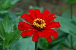 Dcim5025/DSC_4914
