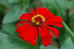 Dcim5025/DSC_4915