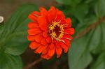 Dcim5025/DSC_4920