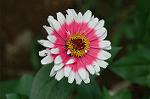 Dcim5025/DSC_4929