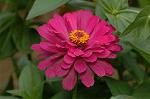 Dcim5025/DSC_4930