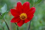 Dcim5025/DSC_4937
