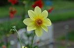 Dcim5025/DSC_4938