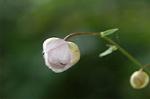 Dcim5025/DSC_4993