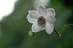 Dcim5026/DSC_5007