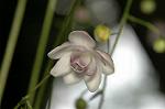 Dcim5026/DSC_5027