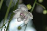 Dcim5026/DSC_5029