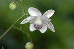 Dcim5026/DSC_5048