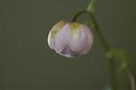 Dcim5026/DSC_5069