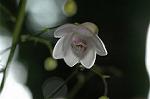 Dcim5026/DSC_5087