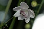 Dcim5026/DSC_5097