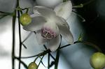Dcim5026/DSC_5124