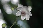 Dcim5027/DSC_5139