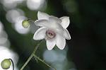 Dcim5027/DSC_5142