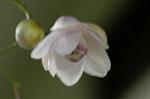 Dcim5027/DSC_5166