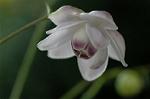 Dcim5027/DSC_5168