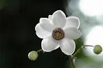 Dcim5027/DSC_5178