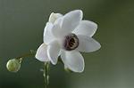 Dcim5027/DSC_5181