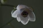 Dcim5027/DSC_5191