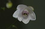 Dcim5027/DSC_5198