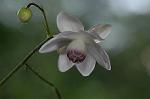 Dcim5027/DSC_5203