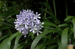Dcim5027/DSC_5209