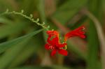 Dcim5027/DSC_5239