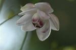 Dcim5027/DSC_5246