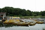 Dcim5028/DSC_3157