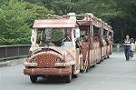 Dcim5029/DSC_3190