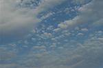 Dcim5029/DSC_3299