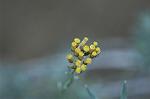 Dcim5031/DSC_5437
