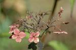 Dcim5031/DSC_5472