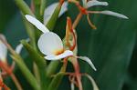 Dcim5032/DSC_5570