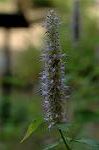 Dcim5032/DSC_5587