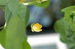Dcim5033/DSC_5709
