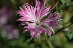 Dcim5035/DSC_5857