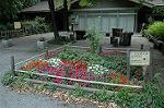 Dcim5038/DSC_5981