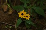 Dcim5038/DSC_6101