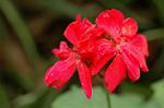Dcim5039/DSC_6164