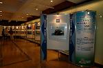 Dcim5042/DSC_6534