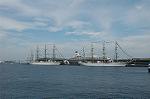 Dcim5042/DSC_6606