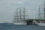 Dcim5043/DSC_6622