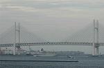 Dcim5043/DSC_6733