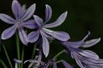 Dcim5045/DSC_6937
