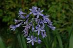 Dcim5045/DSC_6943