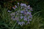 Dcim5045/DSC_7021