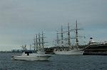 Dcim5049/DSC_7342