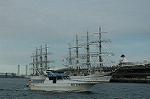Dcim5049/DSC_7343