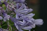 Dcim5049/DSC_7439
